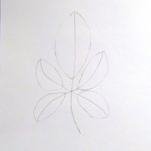 How To Draw A Leaf Step By Step 🍂 Leaf Drawing Easy - YouTube